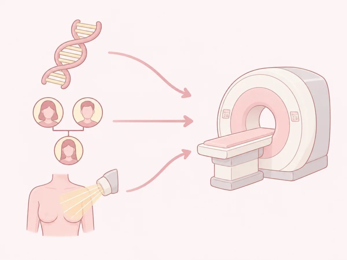 유전자 변이·가족력·가슴 방사선 치료력이 유방 MRI 검진 대상으로 이어지는 관계를 표현한 그림